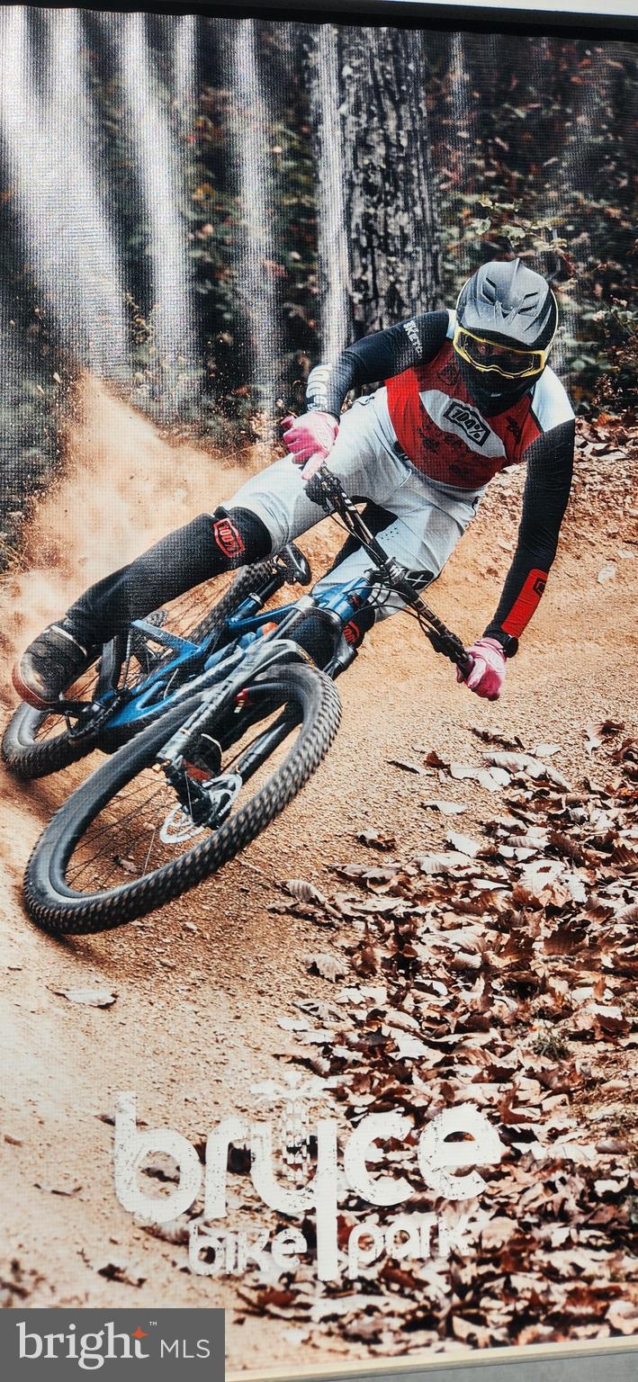 1112 Lee Road Basye, VA 22810 - Photo 101 of 102