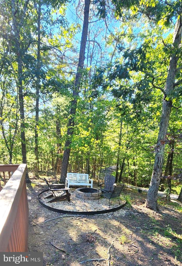 1112 Lee Road Basye, VA 22810 - Photo 63 of 102