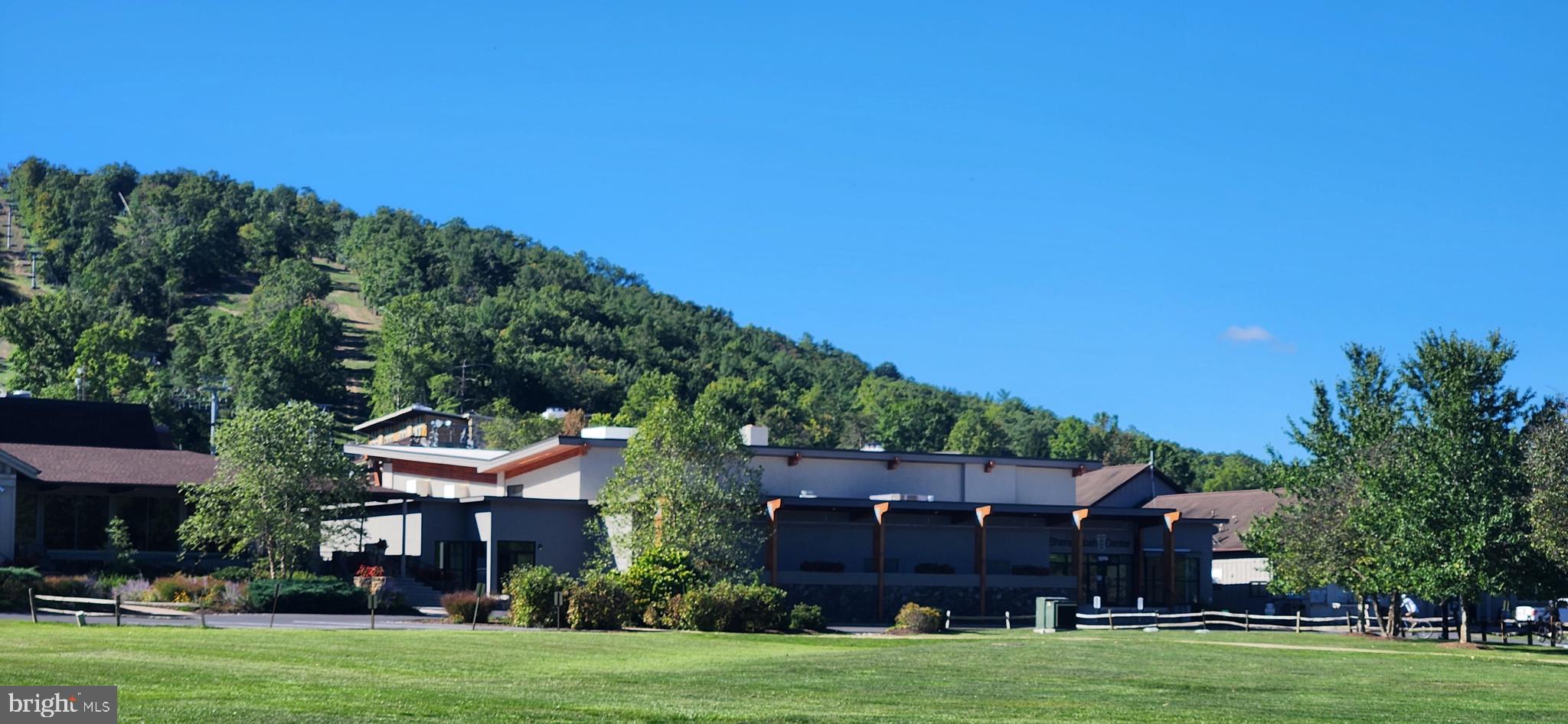 1112 Lee Road Basye, VA 22810 - Photo 81 of 102 a view of a big house with a big yard and potted plants and large trees