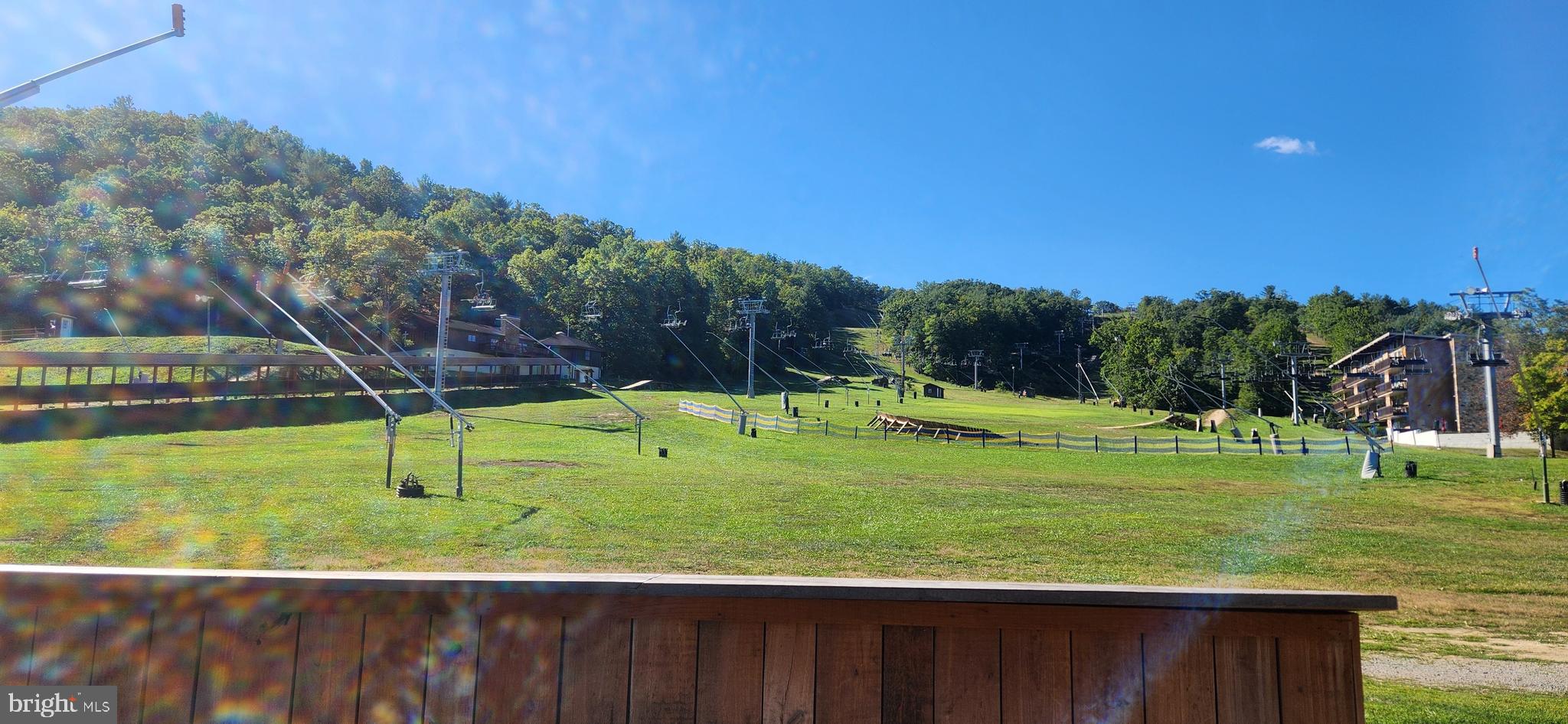 1112 Lee Road Basye, VA 22810 - Photo 83 of 102 a view of a park with large trees