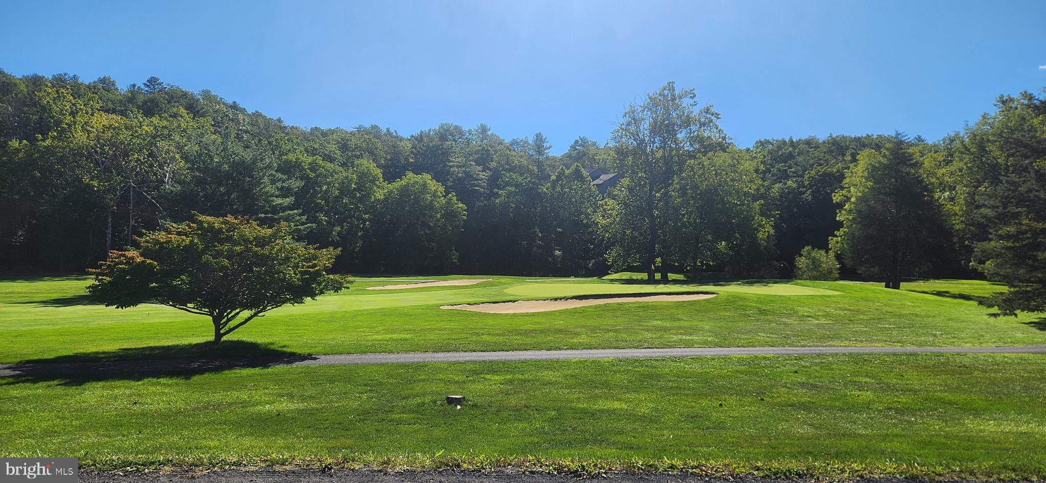 1112 Lee Road Basye, VA 22810 - Photo 85 of 102