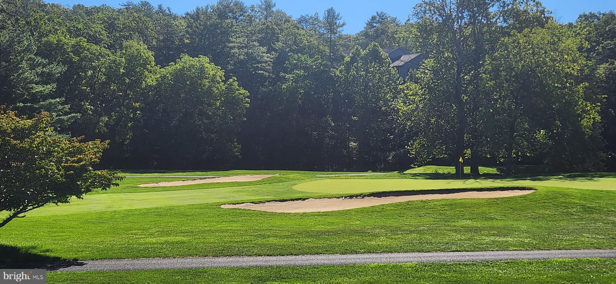 1112 Lee Road Basye, VA 22810 - Photo 86 of 102