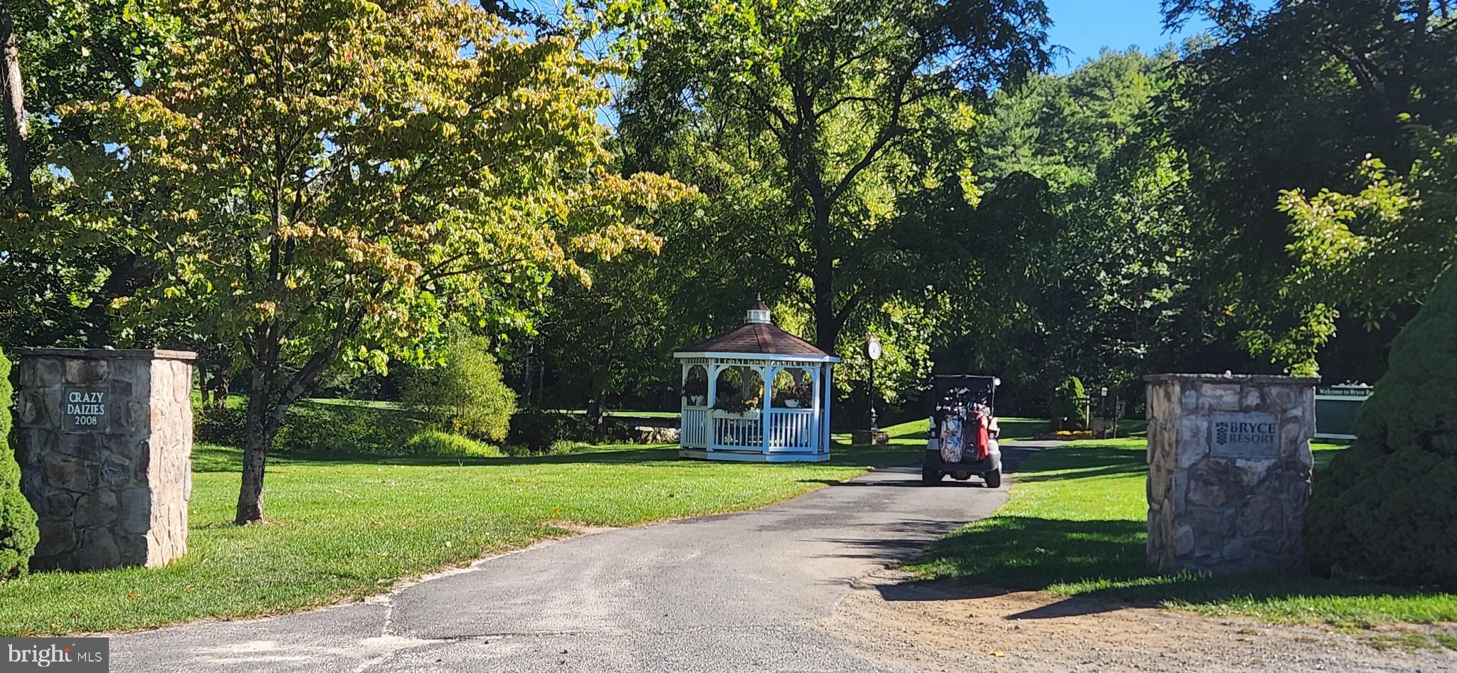 1112 Lee Road Basye, VA 22810 - Photo 87 of 102 a view of a park with large trees and a pathway