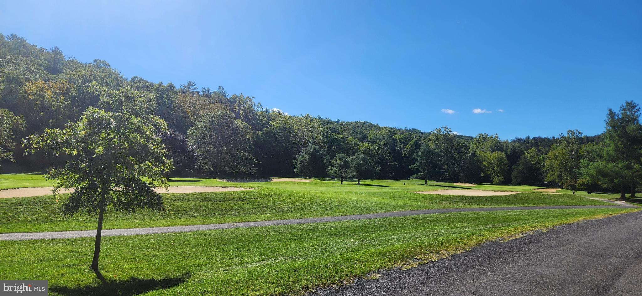 1112 Lee Road Basye, VA 22810 - Photo 97 of 102 a view of a golf course with a big yard