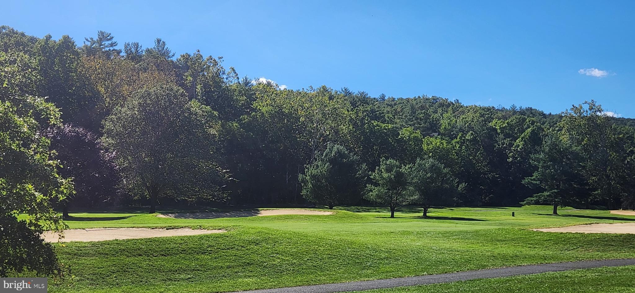 1112 Lee Road Basye, VA 22810 - Photo 98 of 102 a view of a park
