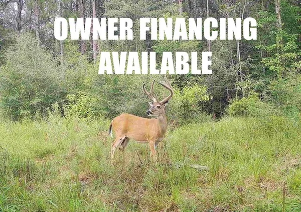 $299,500 | 87 Kirbyville Tx 75956, Kirbyville, TX 75956