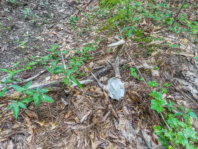 a view of a building