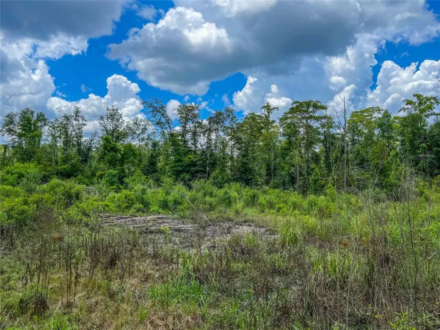 a view of a tree with a yard