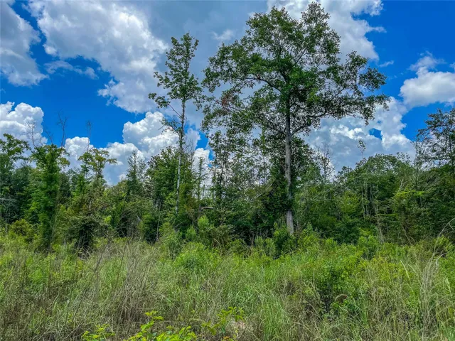 a view of a lush green field