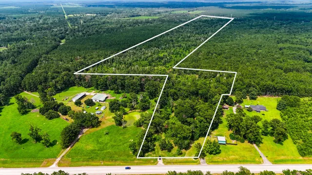 a view of a garden with a tree