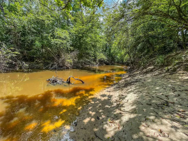 a view of a lush green forest