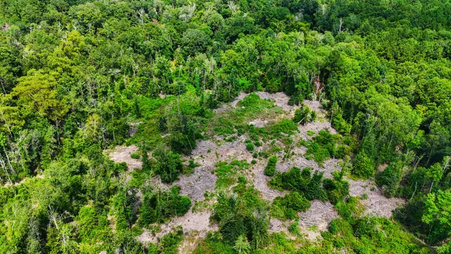 a view of outdoor space and green space