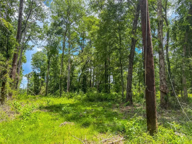 a view of outdoor space and trees