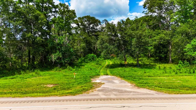 a view of a garden with a trees
