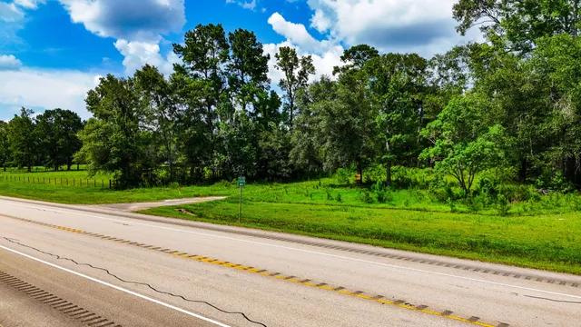 a view of a green field with lots of bushes