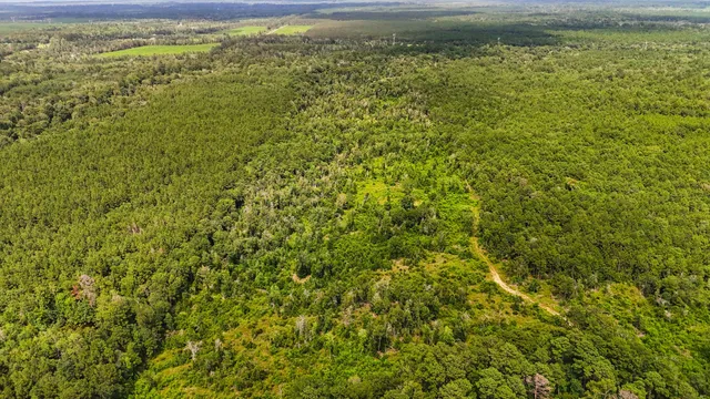 a view of a yard with an outdoor space