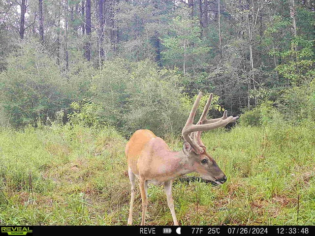 a balcony with table and chairs