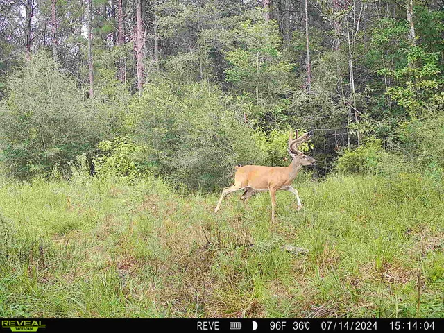 a picture of street view