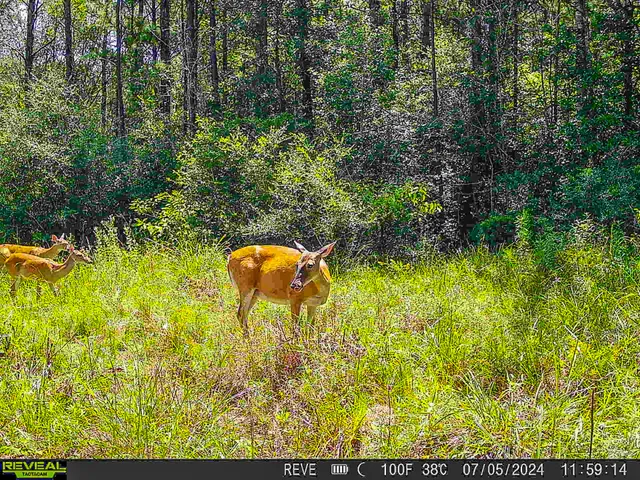a backyard of a house with a yard and outdoor seating