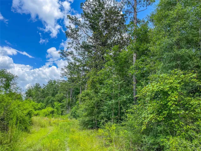 a view of a lush green space