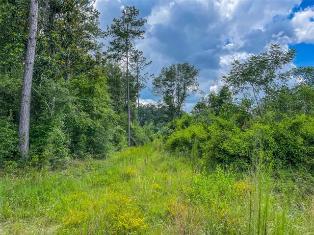 a backyard of a house with lots of plants and trees