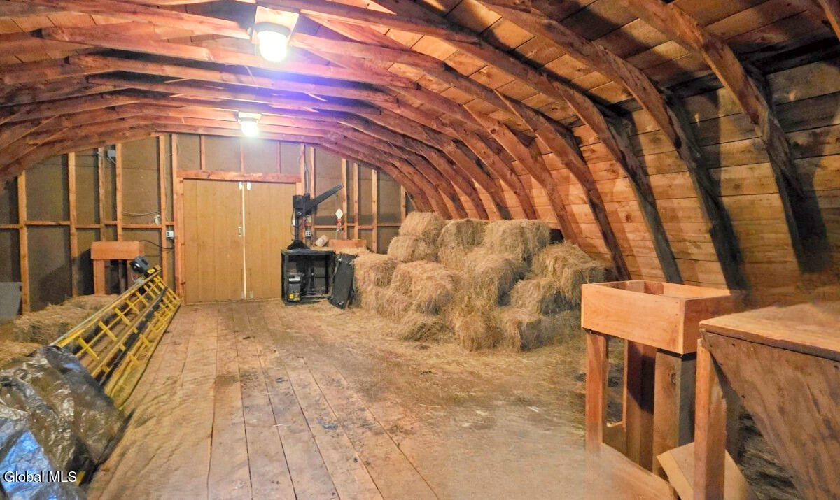 184 Cloos Road Hunter, NY 12442 - Photo 69 of 77 20260514_142142_inPixio - Edited