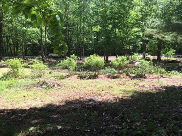 15 Foss Farm Road Durham, NH 03824 - Photo 2 of 6