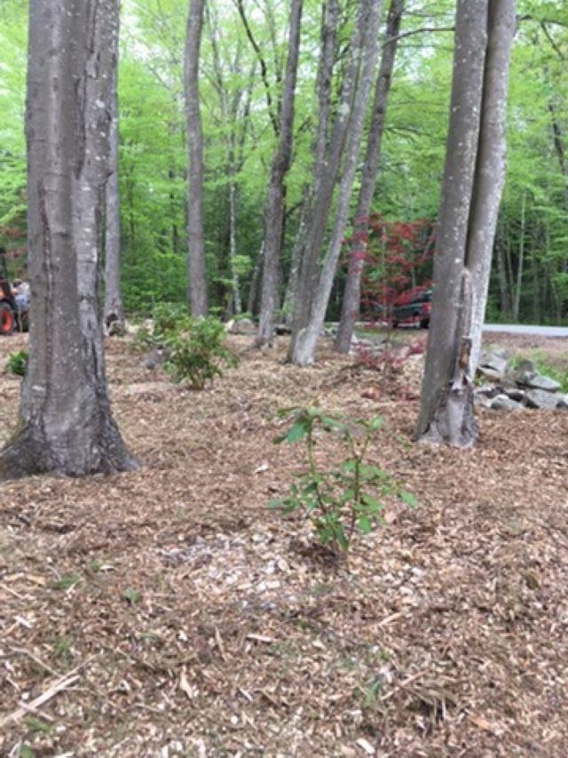 15 Foss Farm Road Durham, NH 03824 - Photo 6 of 6