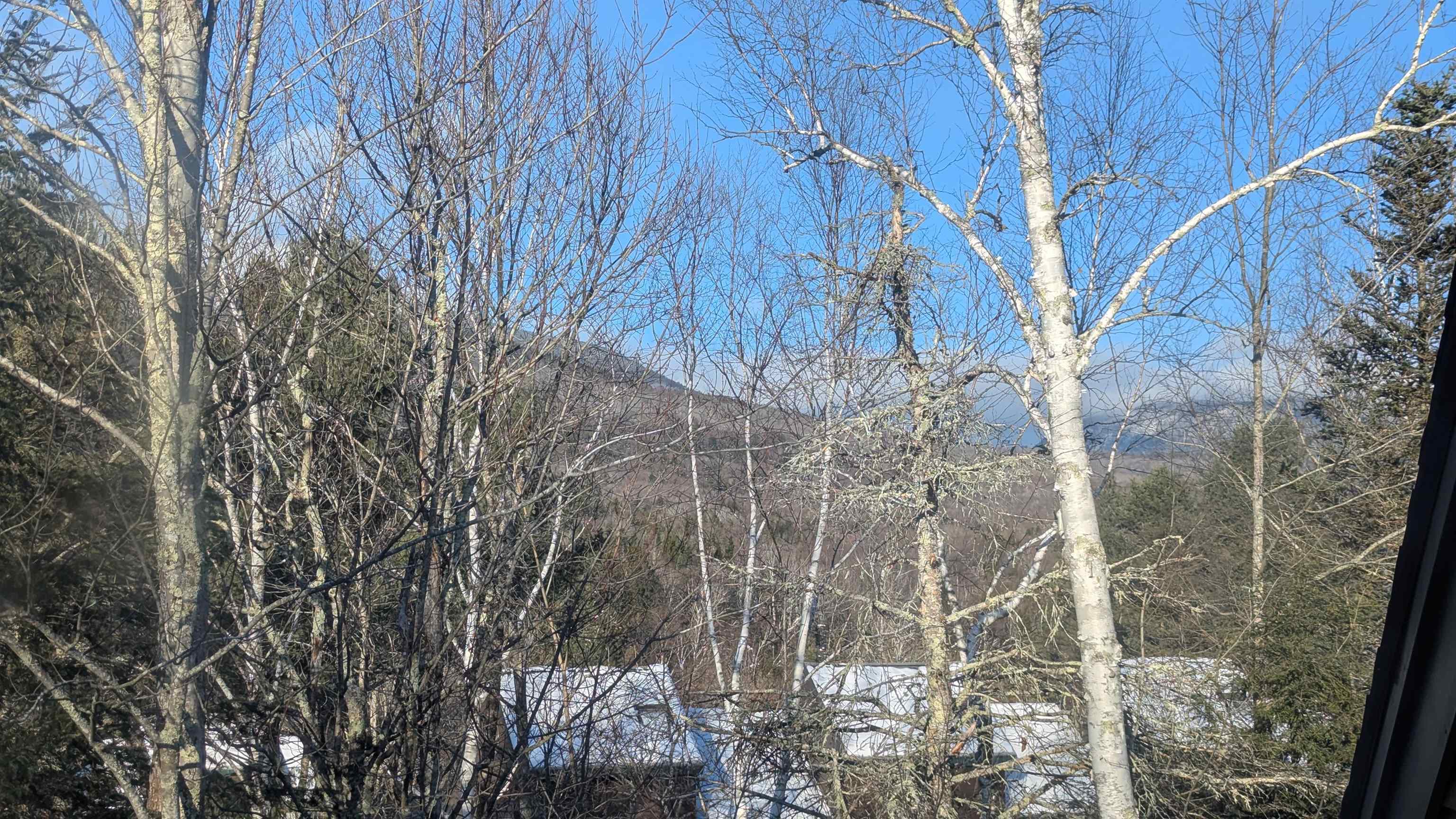 13 Mountain Sun Way, Unit 11B Waterville Valley, NH 03215 - Photo 25 of 28