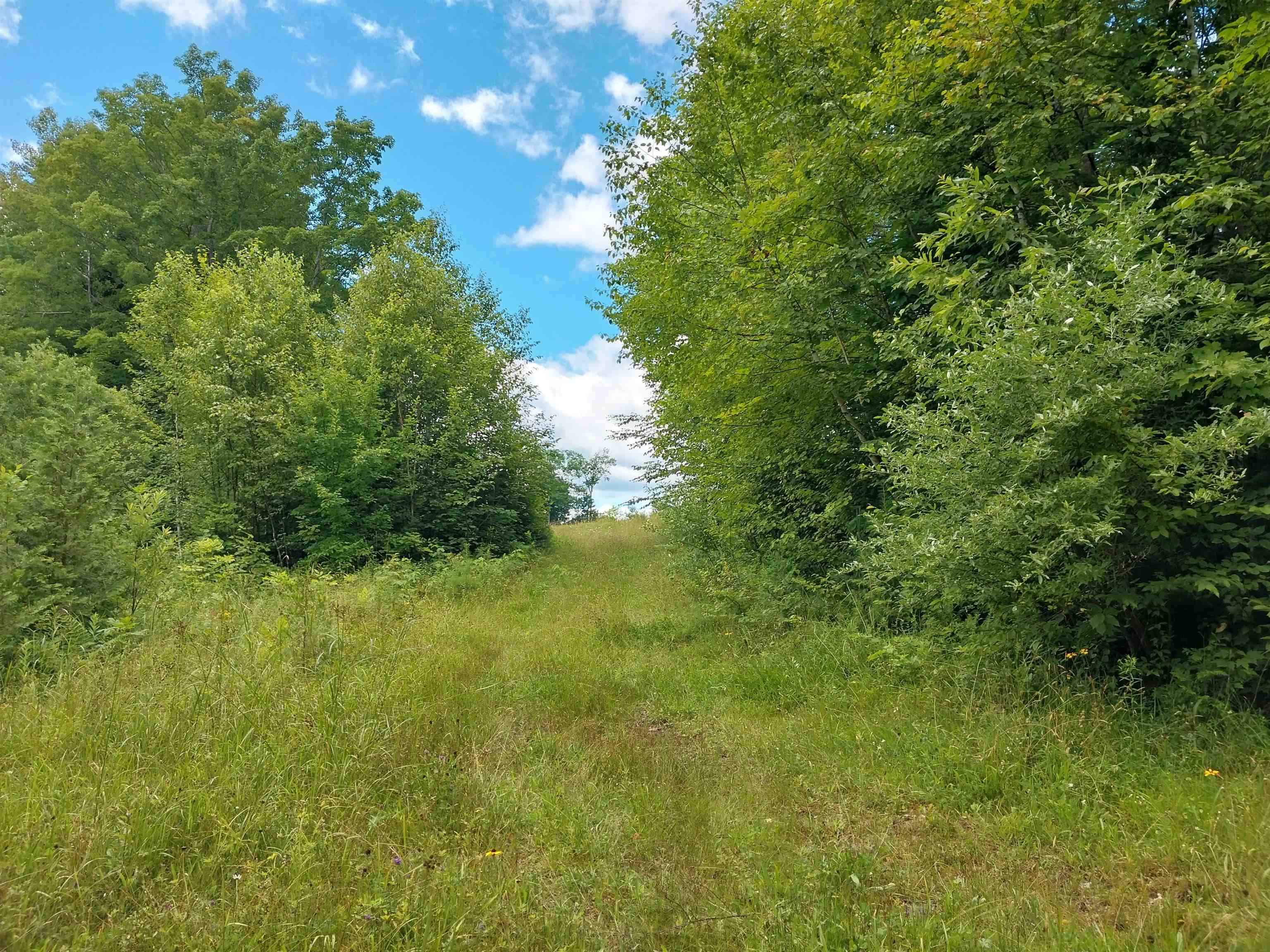 0 Walden Hill Road, Unit 2 Danville, VT 05828 - Photo 17 of 29