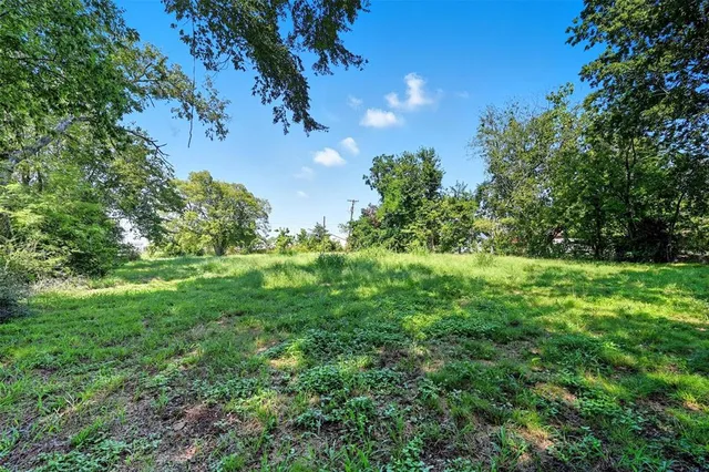 a view of a lush green space