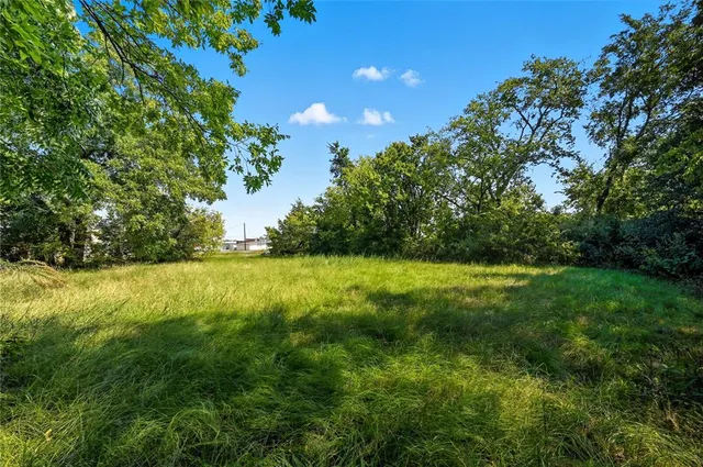 a view of yard with green space
