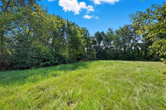 a view of yard with green space