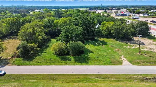 a view of a yard with a large trees