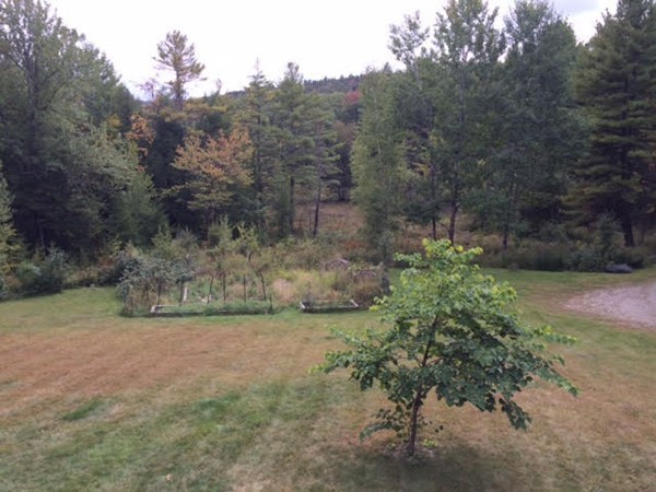686 Creamery Road Ashfield, MA 01330 - Photo 27 of 30 Gallery Image 27