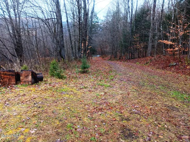 $99,990 | 575 Hollenbeck Road, Worcester, NY 12197