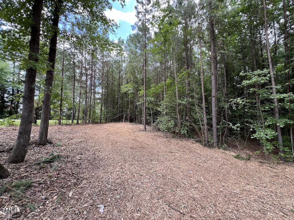 8 Peachtree Hills Road Spring Hope, NC 27882 - Photo 25 of 29 25