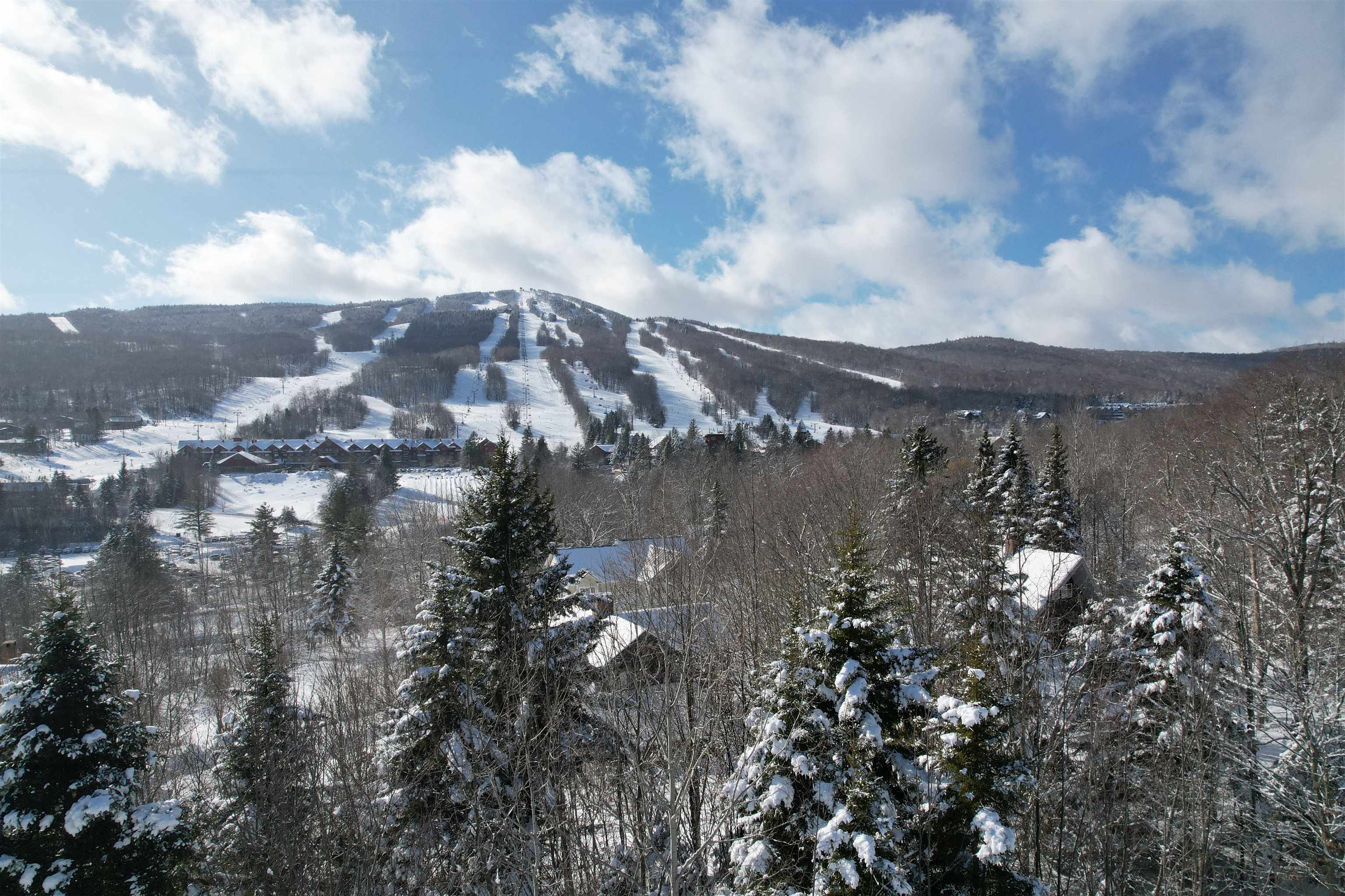 5 Pinnacle View Road, Unit 5 West Dover, VT 05356 - Photo 2 of 9