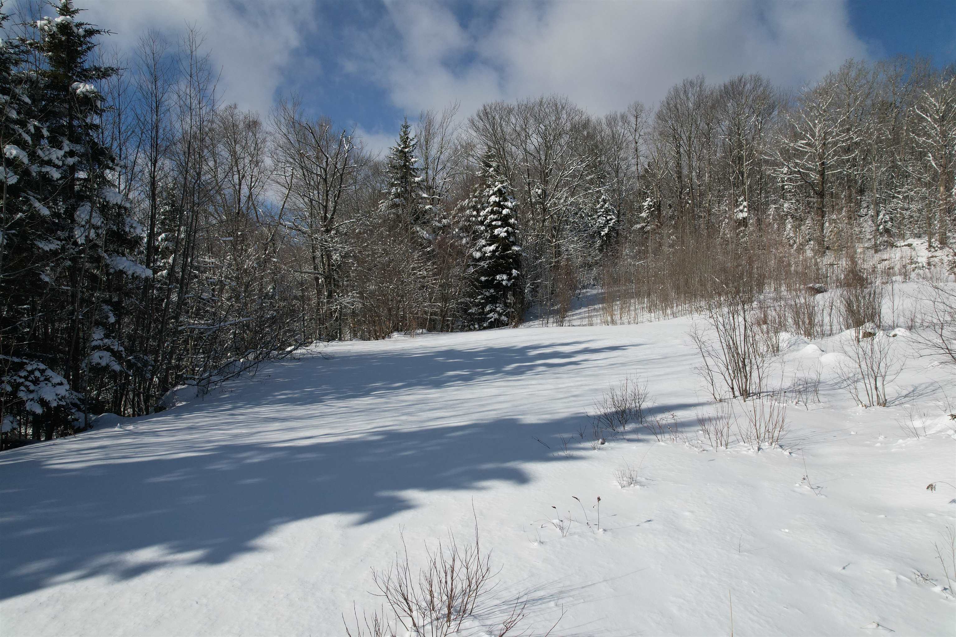 5 Pinnacle View Road, Unit 5 West Dover, VT 05356 - Photo 4 of 9