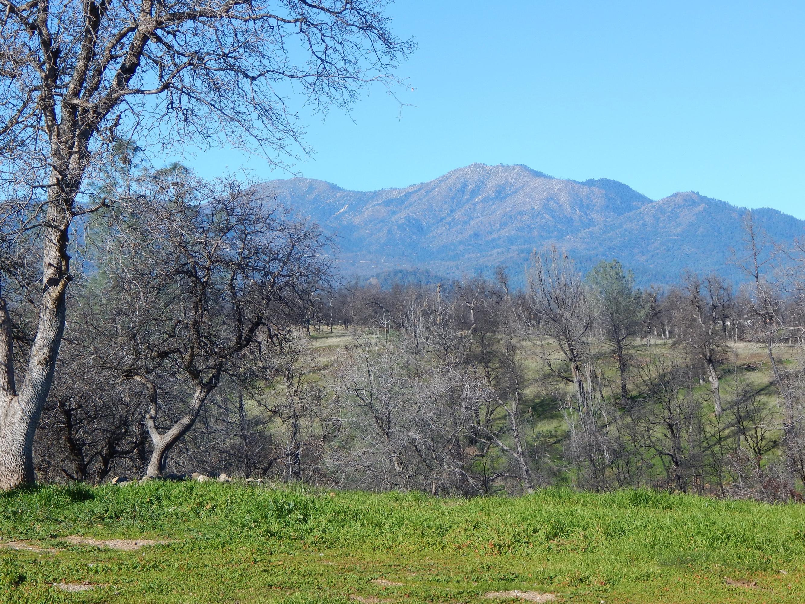 6260 Ridgetop Road Anderson, CA 96007 - Photo 11 of 11 094