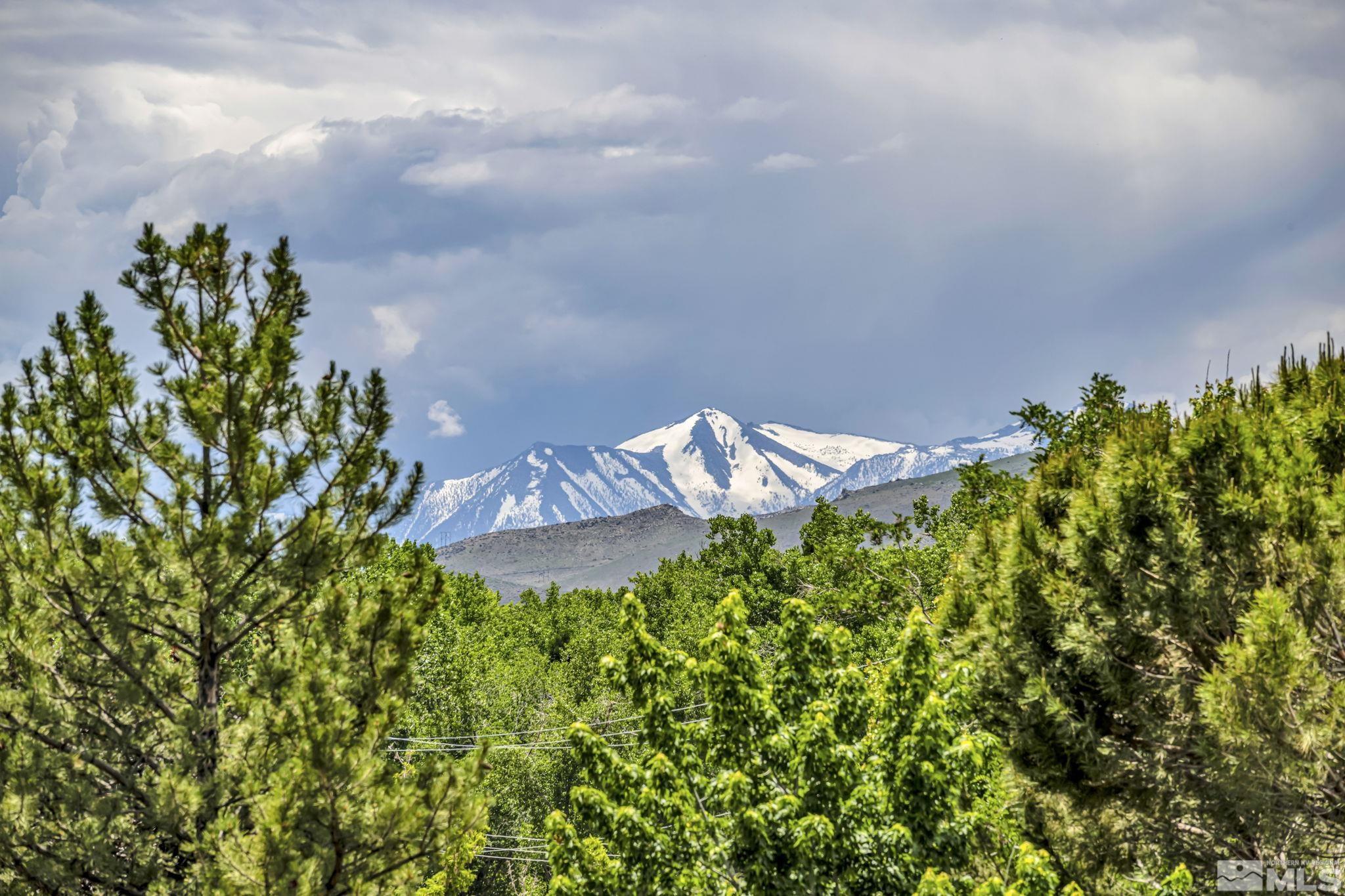 310 Ruby Lane Carson City, NV 89706 - Photo 27 of 40