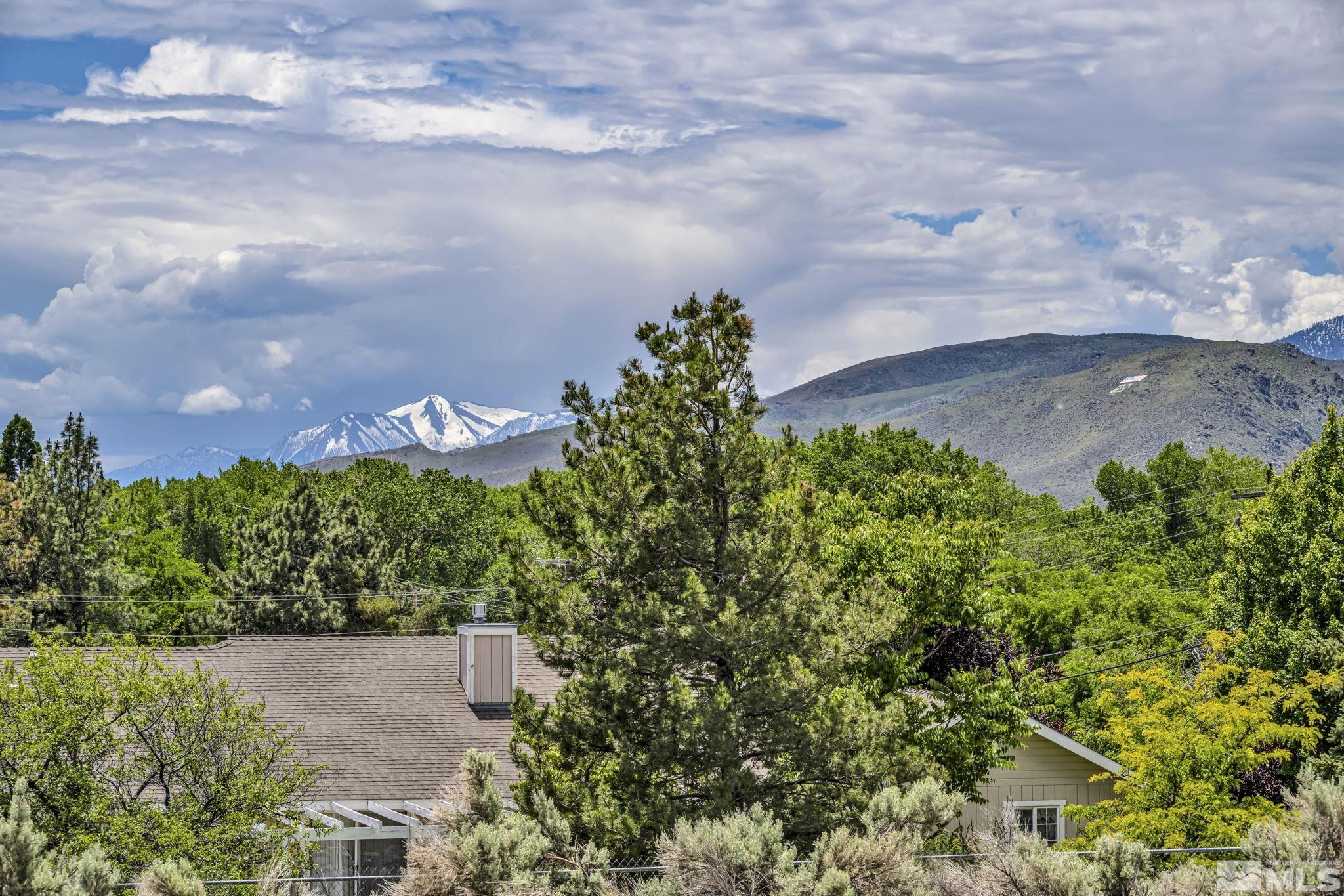 310 Ruby Lane Carson City, NV 89706 - Photo 39 of 40 an aerial view of a house