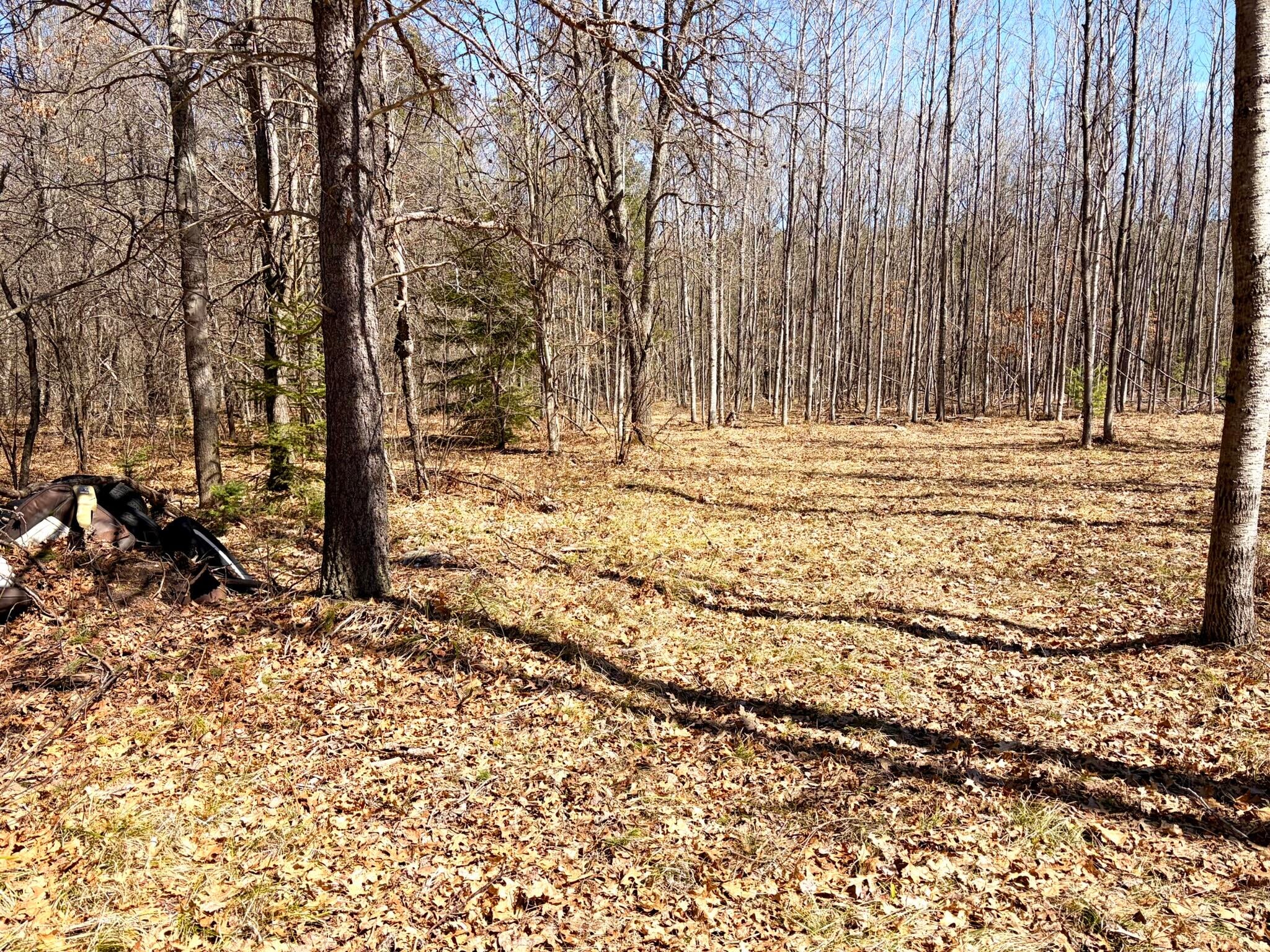 5464 West Fletcher Road Roscommon, MI 48653 - Photo 59 of 67 Back of property
