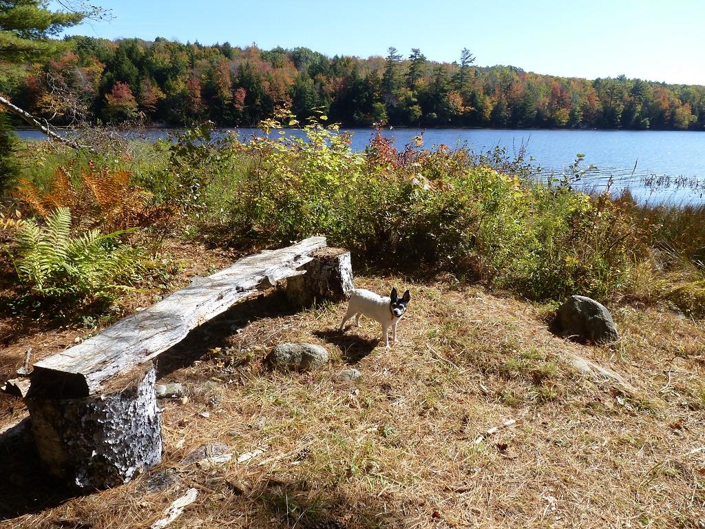 29 Walton Mills Road Mount Vernon, ME 04352 - Photo 20 of 30 Perfect Place to Sit Next to the Water
