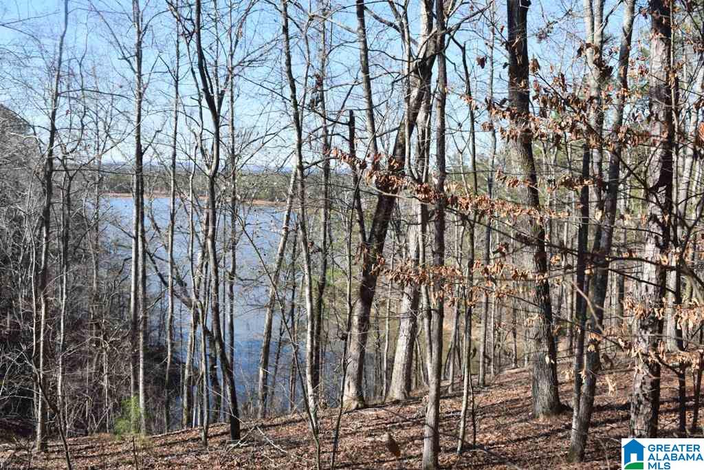 Lot 150 County Road 804, Unit 150 Wedowee, AL 36278 - Photo 7 of 8