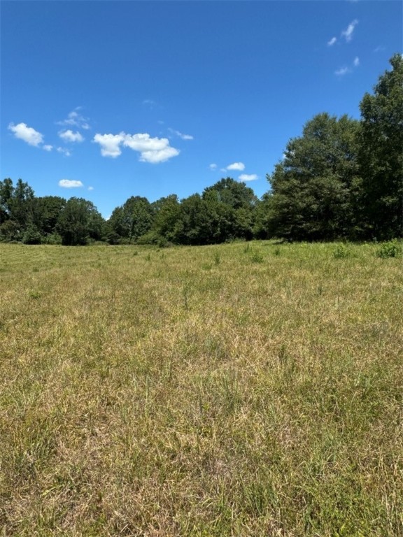 1 Five Forks Road Liberty, SC 29657 - Photo 13 of 20