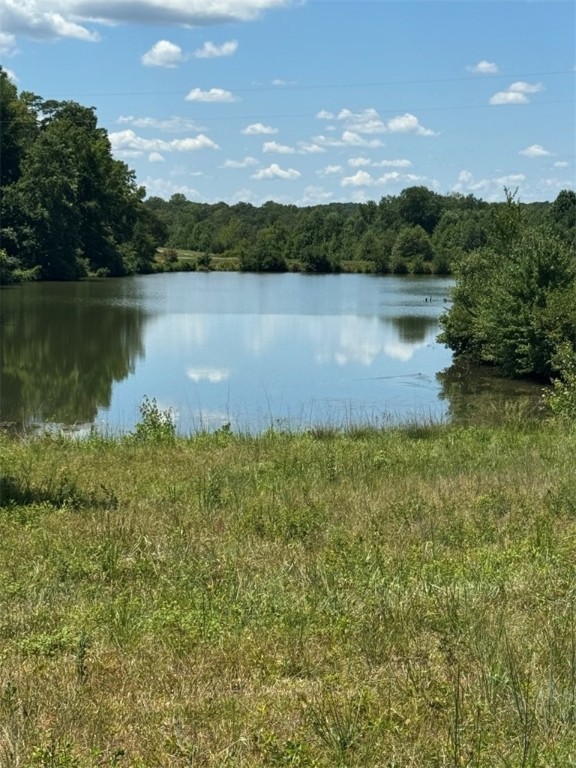 1 Five Forks Road Liberty, SC 29657 - Photo 14 of 20