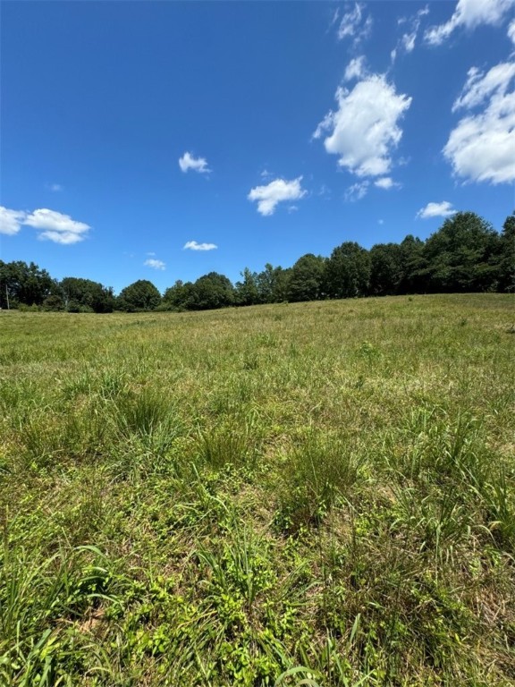 1 Five Forks Road Liberty, SC 29657 - Photo 15 of 20