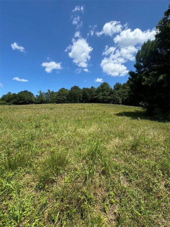 1 Five Forks Road Liberty, SC 29657 - Photo 16 of 20