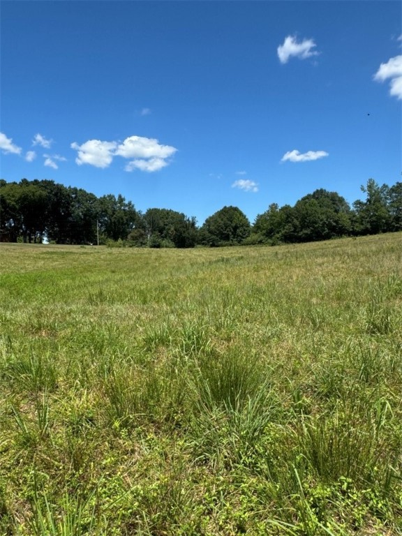 1 Five Forks Road Liberty, SC 29657 - Photo 18 of 20